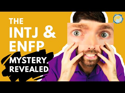 Видео: ENFP и INTJ — идеальные партнеры?!