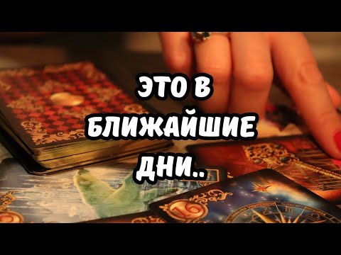 Видео: ЭТО ПРОИЗОЙДЕТ СО ДНЯ НА ДЕНЬ..⁉️Tarot Nemo 