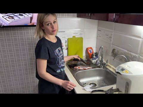 Видео: Бездомной Собачки Больше Нет / Такую Рыбу Больше Брать не Буду / Любимые Пирожки Мужа / Влог231