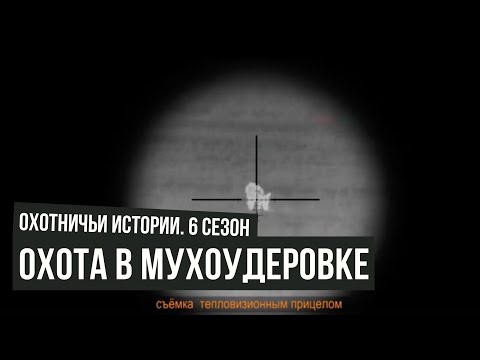 Видео: На охоту в Мухоудеровку \ Охотничьи истории \ #12
