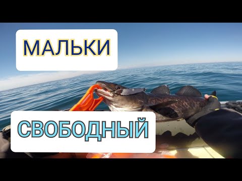 Видео: Морская рыбалка с лодки.
