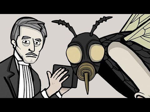 Видео: Rusty Lake Paradise - ЧТО ЗДЕСЬ ПРОИСХОДИТ? [#2] - Игра - Прохождение