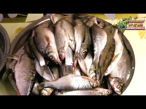 Видео: Друзья, а вы, что готовите из мелкой рыбы? Жареная  рыба в казане на костре, Сай-Балык по-Узбекски