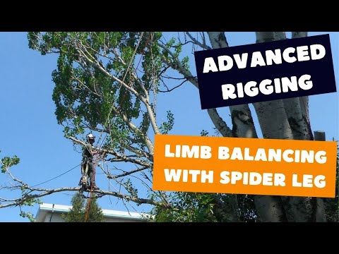 Видео: Такелаж на паучьих лапах | Методы крепления на деревьях