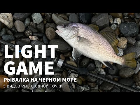 Видео: 5 видов рыб с одной точки! Рыбалка на Черном море в Сочи.