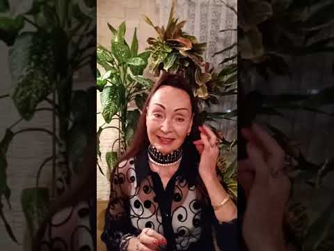 Видео: 13 декабря 2022 г.