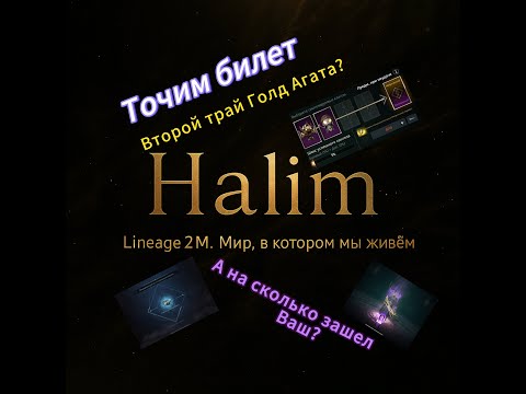 Видео: Lineage 2m | Точим билет 🎫, буст, а на сколько заточили вы? #l2m #mmorpg #l2community