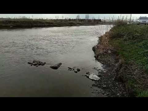 Видео: Рефтинское , рыбалка . Поклёвки сомика .