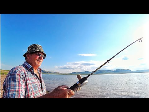 Видео: ДЕДОВСКАЯ СНАСТЬ КОСИТ САЗАНОВ ,РЫБАЛКА НА КВХ