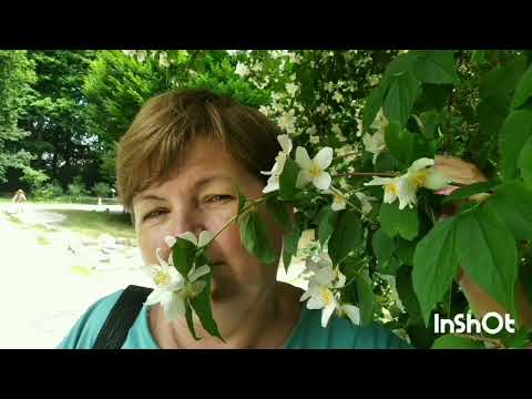 Видео: Швабмюнхен тихий городок.