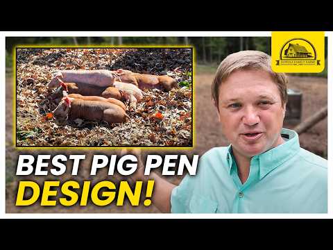 Видео: Лучший дизайн свинарника для небольших помещений: глубокая подстилка