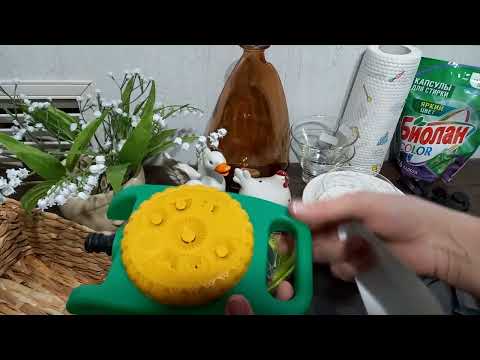 Видео: покупки из магазина Фикс прайс 🛍️💕