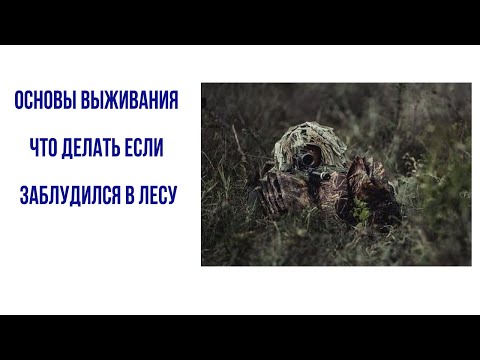 Видео: основы выживания что делать если заблудился в лесу