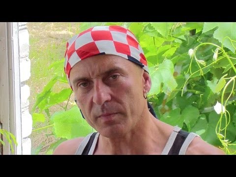 Видео: Питание для спортсменов. Атлетизм (№ 8)