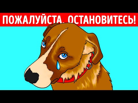 Видео: Я провел месяцы на улице, пока не случилось чудо!