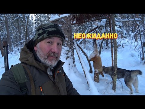 Видео: НЕ ЭТОГО Я ОЖИДАЛ. Но всё равно рад.