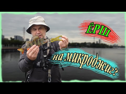Видео: Ерш на микроджиг?