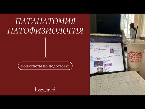 Видео: ПАТАН & ПАТФИЗ || как учить || что будет на экзамене || мой опыт и советы ❤️
