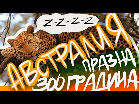 Видео: Няма животни в Зоологическата градина в Австралия/Две седмици преди Карантина/Мелбърн2020/Епизод4/