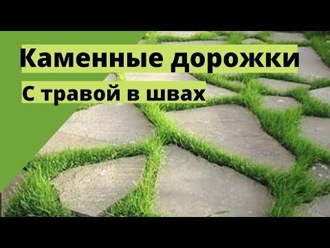 Видео: Садовая дорожка из камня. С травой в швах.