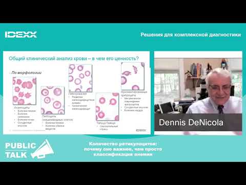 Видео: Public Talk с Деннисом Дениколой IDEXX