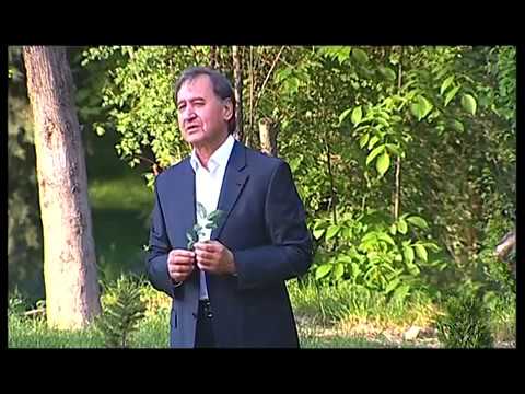 Видео: Чурабек Назриев, "Ниёзи дил" к. 3