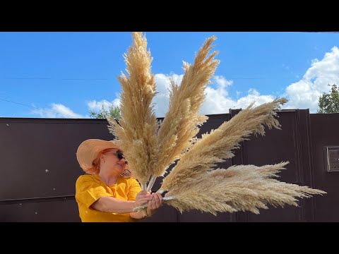 Видео: ПОТРЯСАЮЩАЯ ИДЕЯ для дома из камыша. Беру камыш и делаю ЧУДО.