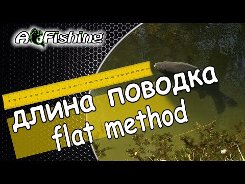 Видео: Длина поводка для флэт метод фидер / flat method feeder