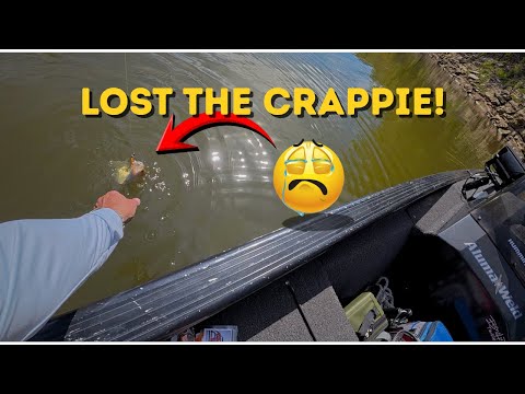 Видео: ‼️ Я ПОТЕРЯЛ БОЛЬШОГО КРАППИ у лодки ‼️