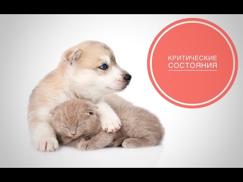 Видео: Критические состояния новорожденных