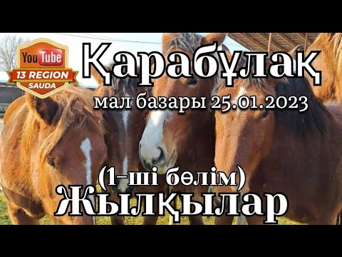 Видео: Қарабұлақ жылқы базары 1-ші бөлім