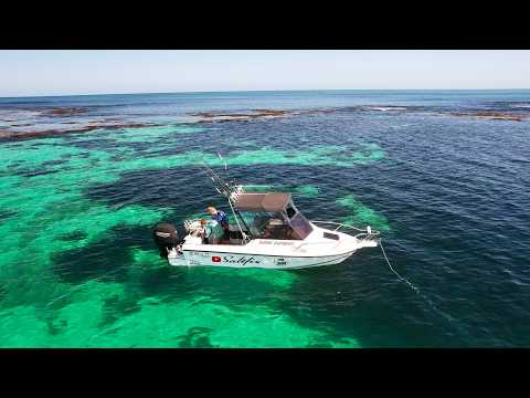 Видео: Рыбалка на ПЕРВОНАЧАЛЬНЫХ рифовых отмелях!