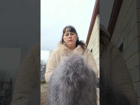 Видео: 30 октября 2025 г.пуховые платочки.т.89020931602