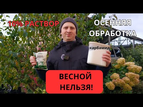 Видео: Секрет здорового сада: когда и как правильно опрыскивать деревья карбамидом (10%-ным раствором)