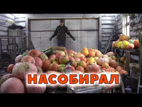 Видео: Кто что хочет видеть?