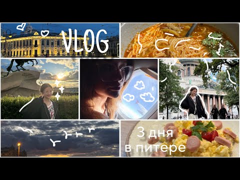 Видео: VLOG | 3 дня в питере: аэропорт, кафе, красивые улицы и тд.. 