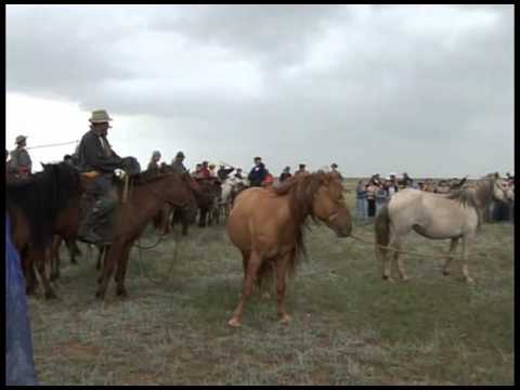 Видео: Их Монгол Улс 800 Төв аймгийн адуучин тэмцээн 2006