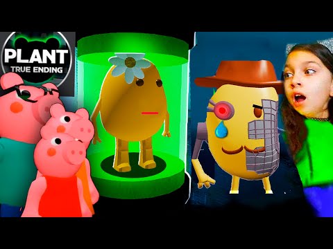 Видео: ПИГГИ 12 Нашли СЕКРЕТНУЮ КОНЦОВКУ Мистер TSP это ? roblox PIGGY 12 TRUE  / роблокс свинина 12 глава