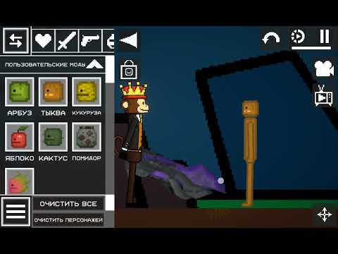 Видео: 5 ноября 2025 г.