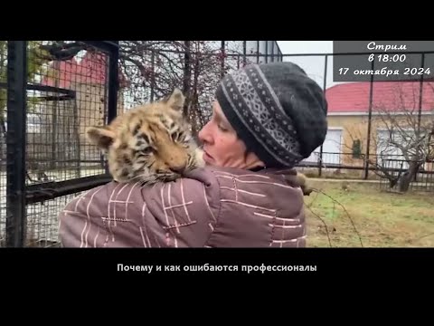 Видео: Почему и как ошибаются профессионалы