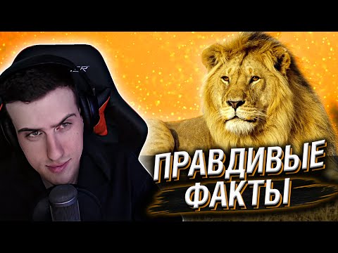 Видео: Hellyeahplay смотрит: Правдивые факты о кошках