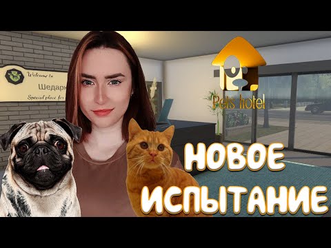 Видео: Pets Hotel ► СНОВА СПАСАЕМ ОТЕЛЬ ДЛЯ ЖИВОТНЫХ