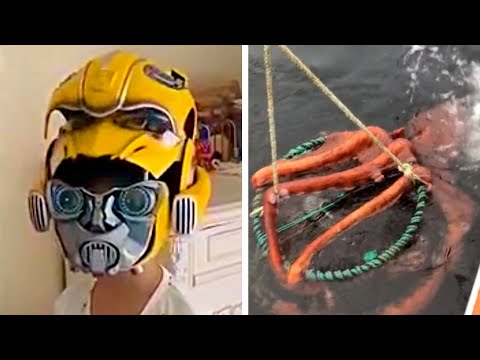 Видео: Видео, которые тебя удивят (4 часть)