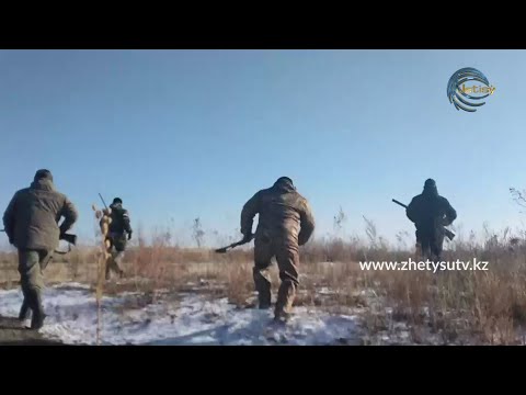 Видео: ОЛЖА - АҢШЫЛЫҚ. ҚОЯН, ҚЫРҒАУЫЛ АУЛАУ (29.11.20)