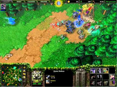 Видео: warcraft 3 с Майкером 11.06.13