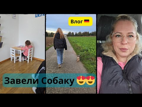 Видео: Добро Пожаловать Друзья ❤️🤗 • Завели Собаку 🐕 • Большая Семья 🤭 • Гуляем ! • Влог 🇩🇪