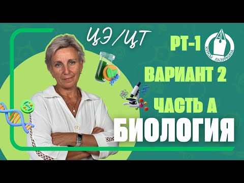 Видео: 🌱 ГОТОВЬСЯ к ЦЭ по БИОЛОГИИ. РАЗБОР РТ-1 * ЧАСТЬ А * ВАРИАНТ 2 ( 2023-2024) #цэбиология #цэ #егэ #рт