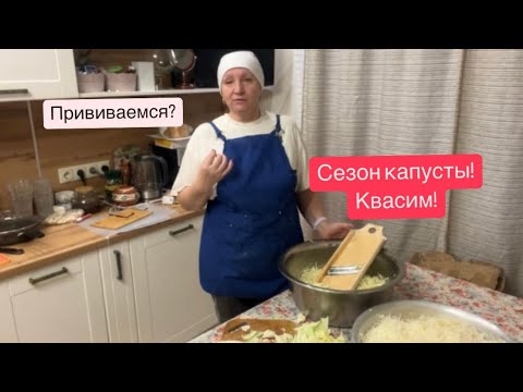 Видео: Шинкую капусту новым приспособлением.