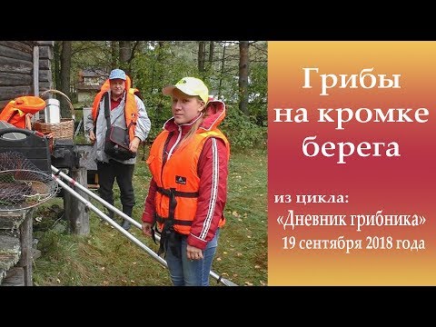 Видео: Грибы на кромке берега. Дневник грибника 19 сентября  2018 года