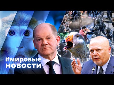 Видео: МИРОВЫЕ НОВОСТИ – 11 ноября 2024